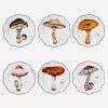 Dining Alberto Pinto | Les Champignons Dinner Plates-Set Of 6