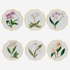 Dining Alberto Pinto | Histoires D'Orchidees Soup Plates-Set Of 6