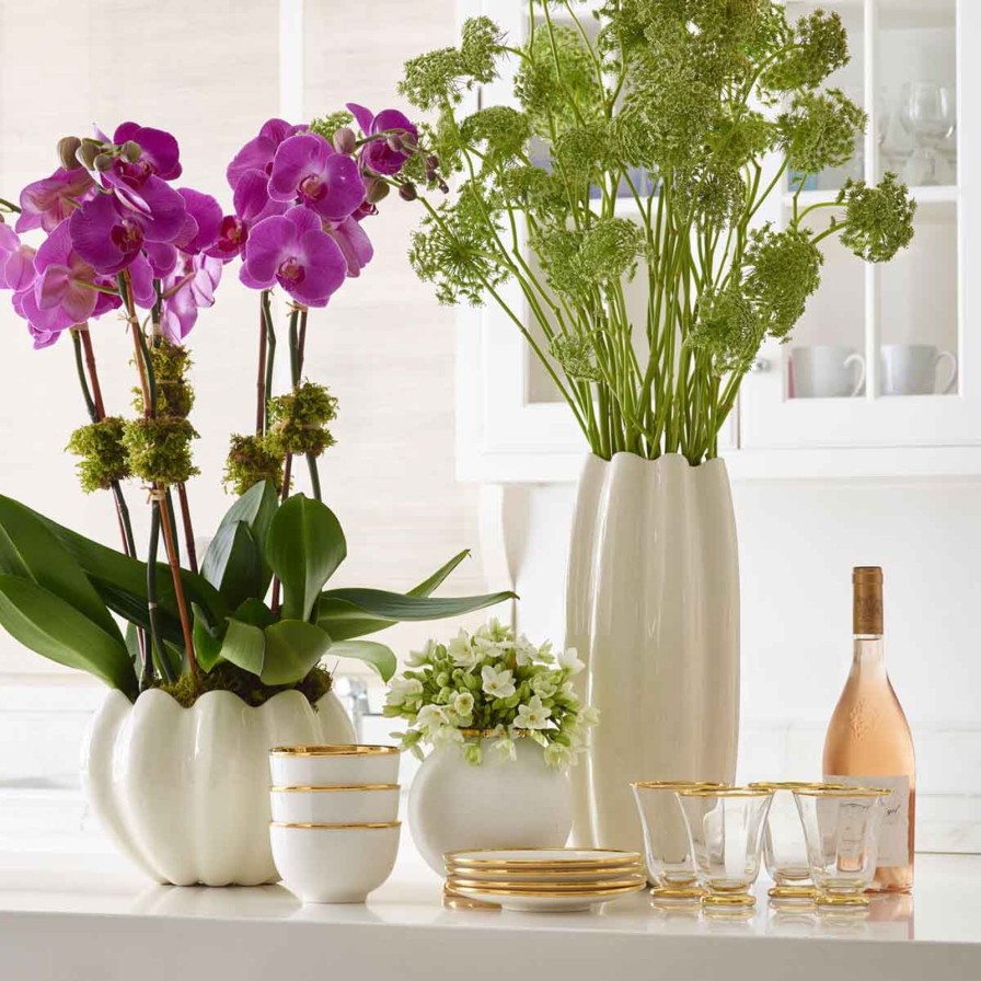 Home Accessories Aerin | Mirabelle Cachepot White