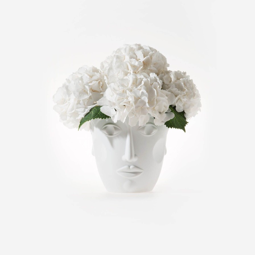 Dining SIEGER by FUERSTENBERG | Faces Satin White Champagne Bucket