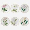 Dining Alberto Pinto | Histoires D'Orchidees Dinner Plates-Set Of 6