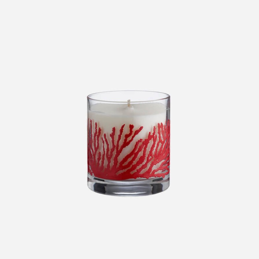 Home Accessories Egizia | Aquaria Scented Candle