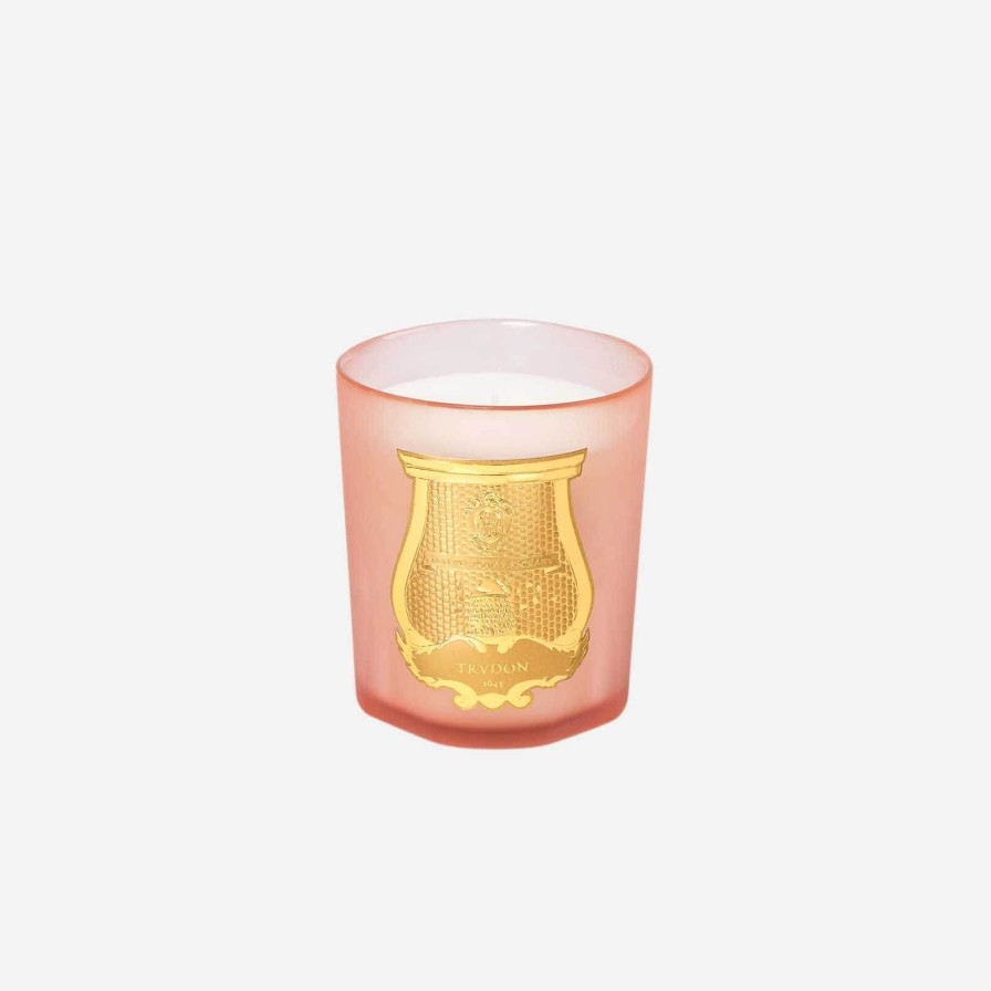 The Tabletop Edit Cire Trudon | Tuileries Scented Candle