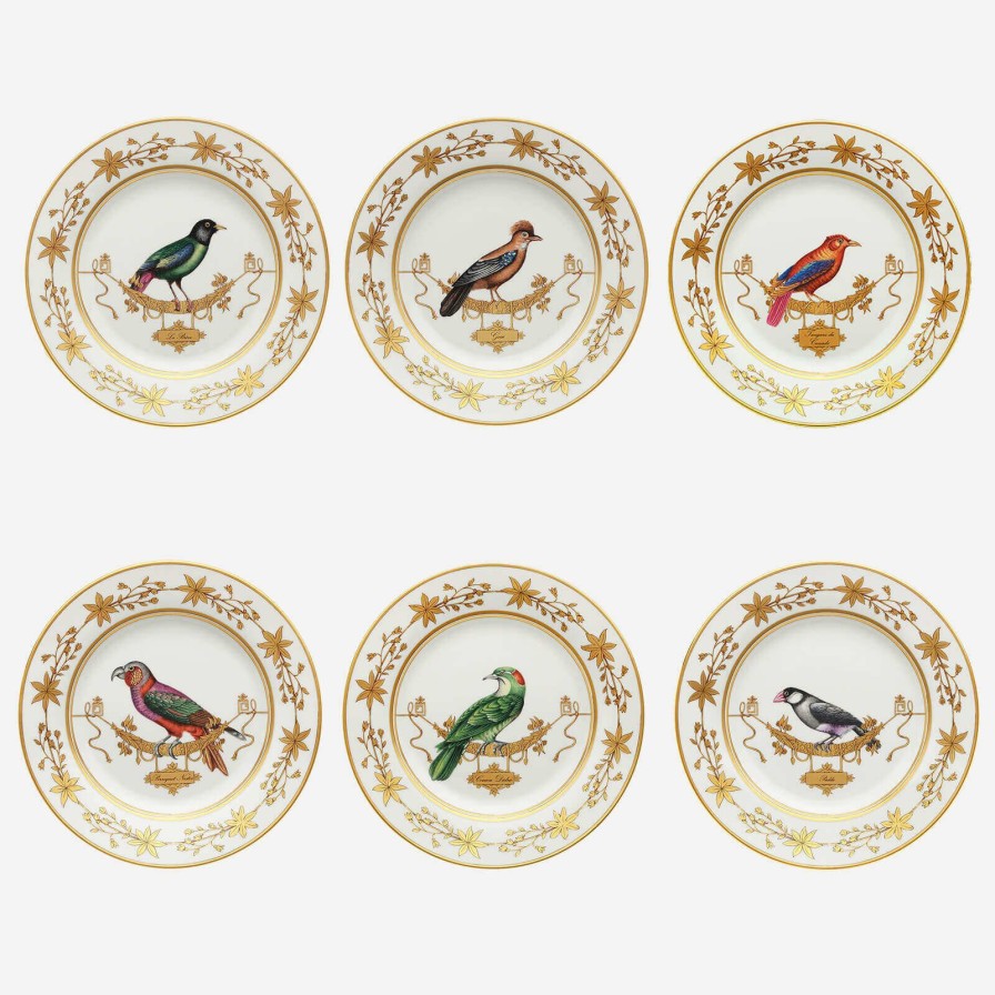 Dining Ginori 1735 | Voliere Bird Dinner Plate-Set Of 6